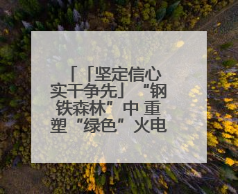 「坚定信心 实干争先」“钢铁森林”中 重塑“绿色”火电基因