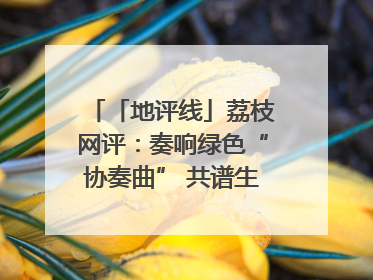 「地评线」荔枝网评：奏响绿色“协奏曲” 共谱生态“新乐章”