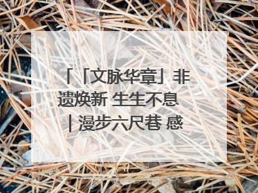 「文脉华章」非遗焕新 生生不息｜漫步六尺巷 感受礼让文化浸润的“巷”往生活