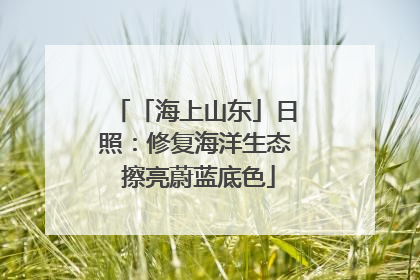 「海上山东」日照：修复海洋生态 擦亮蔚蓝底色