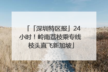 「深圳特区报」24小时！岭南荔枝乘专线 枝头直飞新加坡