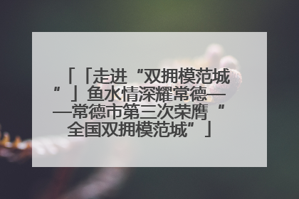 「走进“双拥模范城”」鱼水情深耀常德——常德市第三次荣膺“全国双拥模范城”