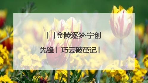 「金陵逐梦·宁创先锋」巧云破茧记