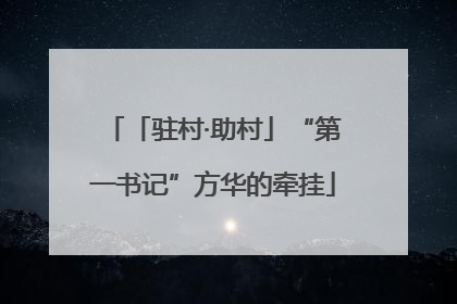 「驻村·助村」“第一书记”方华的牵挂