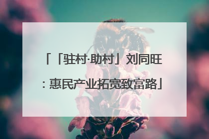 「驻村·助村」刘同旺：惠民产业拓宽致富路