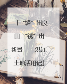 “缝”出良田 “锈”出新景——洪江土地活用记