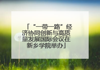 “一带一路”经济协同创新与高质量发展国际会议在新乡学院举办