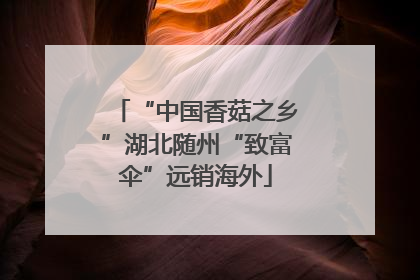 “中国香菇之乡”湖北随州“致富伞”远销海外