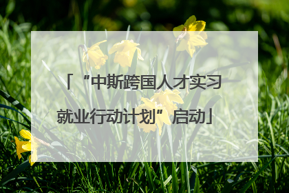 “中斯跨国人才实习就业行动计划”启动