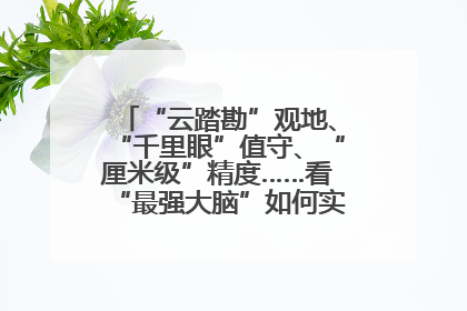 “云踏勘”观地、“千里眼”值守、“厘米级”精度……看“最强大脑”如何实现智慧治理