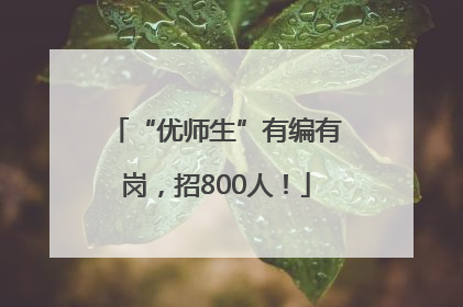 “优师生”有编有岗，招800人！