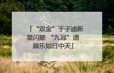 “双金”于子迪新星闪耀 “九冠”潘展乐如日中天