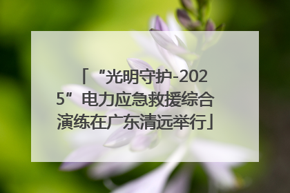 “光明守护-2025”电力应急救援综合演练在广东清远举行