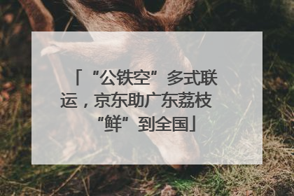 “公铁空”多式联运，京东助广东荔枝“鲜”到全国