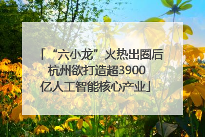 “六小龙”火热出圈后 杭州欲打造超3900亿人工智能核心产业