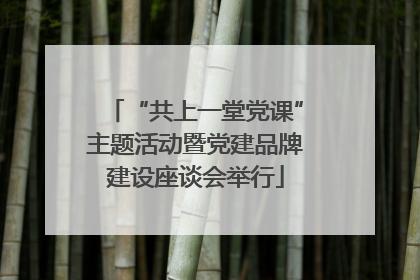 “共上一堂党课”主题活动暨党建品牌建设座谈会举行