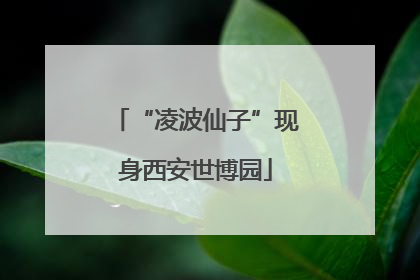 “凌波仙子”现身西安世博园