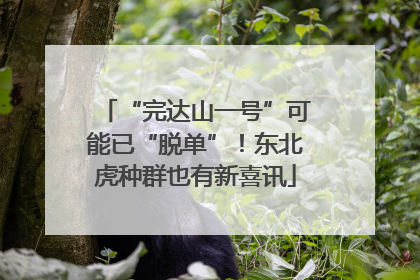 “完达山一号”可能已“脱单”！东北虎种群也有新喜讯