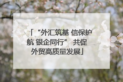 “外汇筑基 信保护航 银企同行” 共促外贸高质量发展