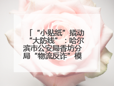 “小贴纸”撬动“大防线”：哈尔滨市公安局香坊分局“物流反诈”模式守护群众“钱袋子”