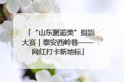 “山东邂逅美”摄影大赛｜泰安西岭巷——网红打卡新地标