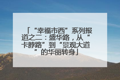 “幸福市西”系列报道之二：盛华路，从“卡脖路”到“景观大道”的华丽转身