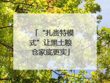 “扎赉特模式”让黑土粮仓家底更实