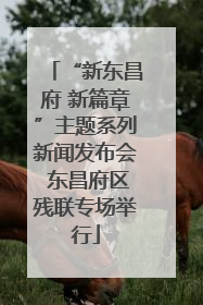 “新东昌府 新篇章”主题系列新闻发布会 东昌府区残联专场举行