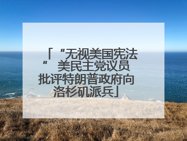 “无视美国宪法” 美民主党议员批评特朗普政府向洛杉矶派兵