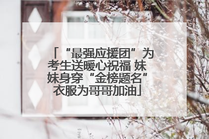 “最强应援团”为考生送暖心祝福 妹妹身穿“金榜题名”衣服为哥哥加油