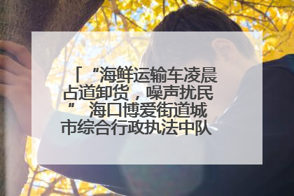 “海鲜运输车凌晨占道卸货，噪声扰民” 海口博爱街道城市综合行政执法中队：将联合交警加强长堤路一带巡逻
