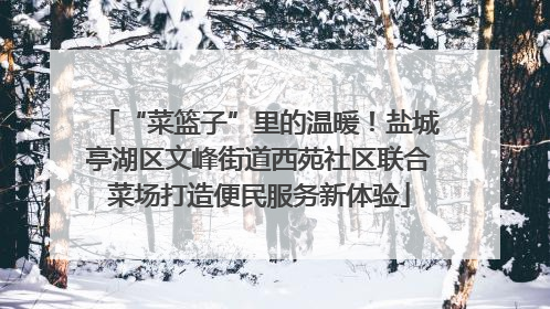 “菜篮子”里的温暖！盐城亭湖区文峰街道西苑社区联合菜场打造便民服务新体验