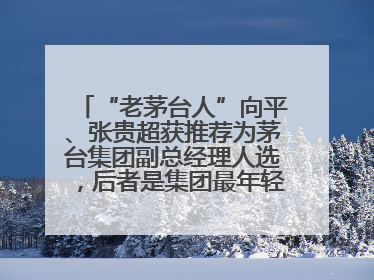 “老茅台人”向平、张贵超获推荐为茅台集团副总经理人选，后者是集团最年轻党委委员