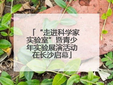 “走进科学家实验室”暨青少年实验展演活动在长沙启幕