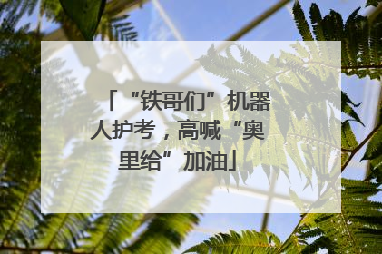 “铁哥们”机器人护考，高喊“奥里给”加油