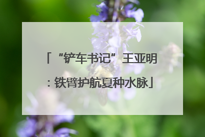 “铲车书记”王亚明：铁臂护航夏种水脉