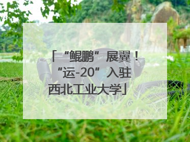 “鲲鹏”展翼！“运-20”入驻西北工业大学