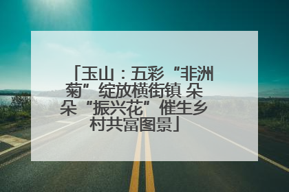 玉山：五彩“非洲菊”绽放横街镇 朵朵“振兴花”催生乡村共富图景