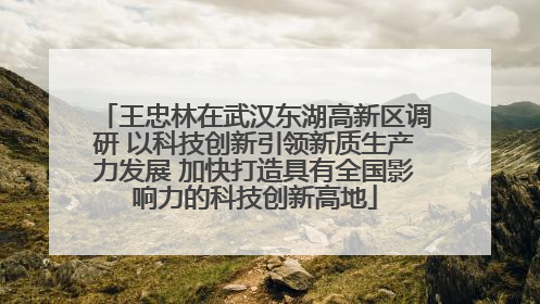 王忠林在武汉东湖高新区调研 以科技创新引领新质生产力发展 加快打造具有全国影响力的科技创新高地