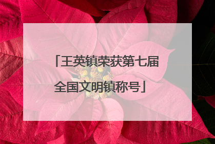 王英镇荣获第七届全国文明镇称号