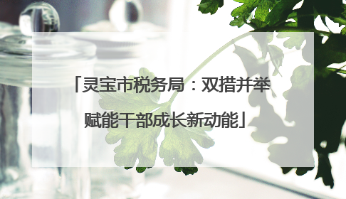 灵宝市税务局：双措并举 赋能干部成长新动能