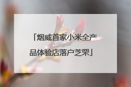 烟威首家小米全产品体验店落户芝罘