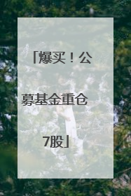 爆买！公募基金重仓7股