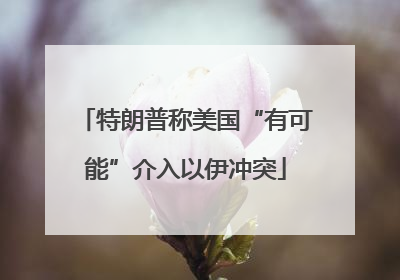 特朗普称美国“有可能”介入以伊冲突