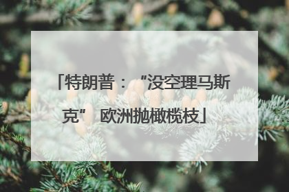 特朗普：“没空理马斯克” 欧洲抛橄榄枝