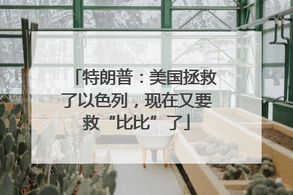 特朗普：美国拯救了以色列，现在又要救“比比”了