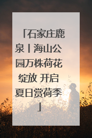 石家庄鹿泉丨海山公园万株荷花绽放 开启夏日赏荷季