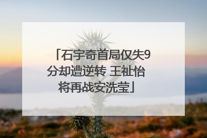 石宇奇首局仅失9分却遭逆转 王祉怡将再战安洗莹