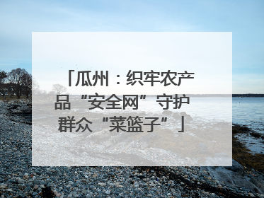 瓜州：织牢农产品“安全网”守护群众“菜篮子”