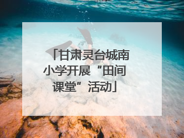 甘肃灵台城南小学开展“田间课堂”活动